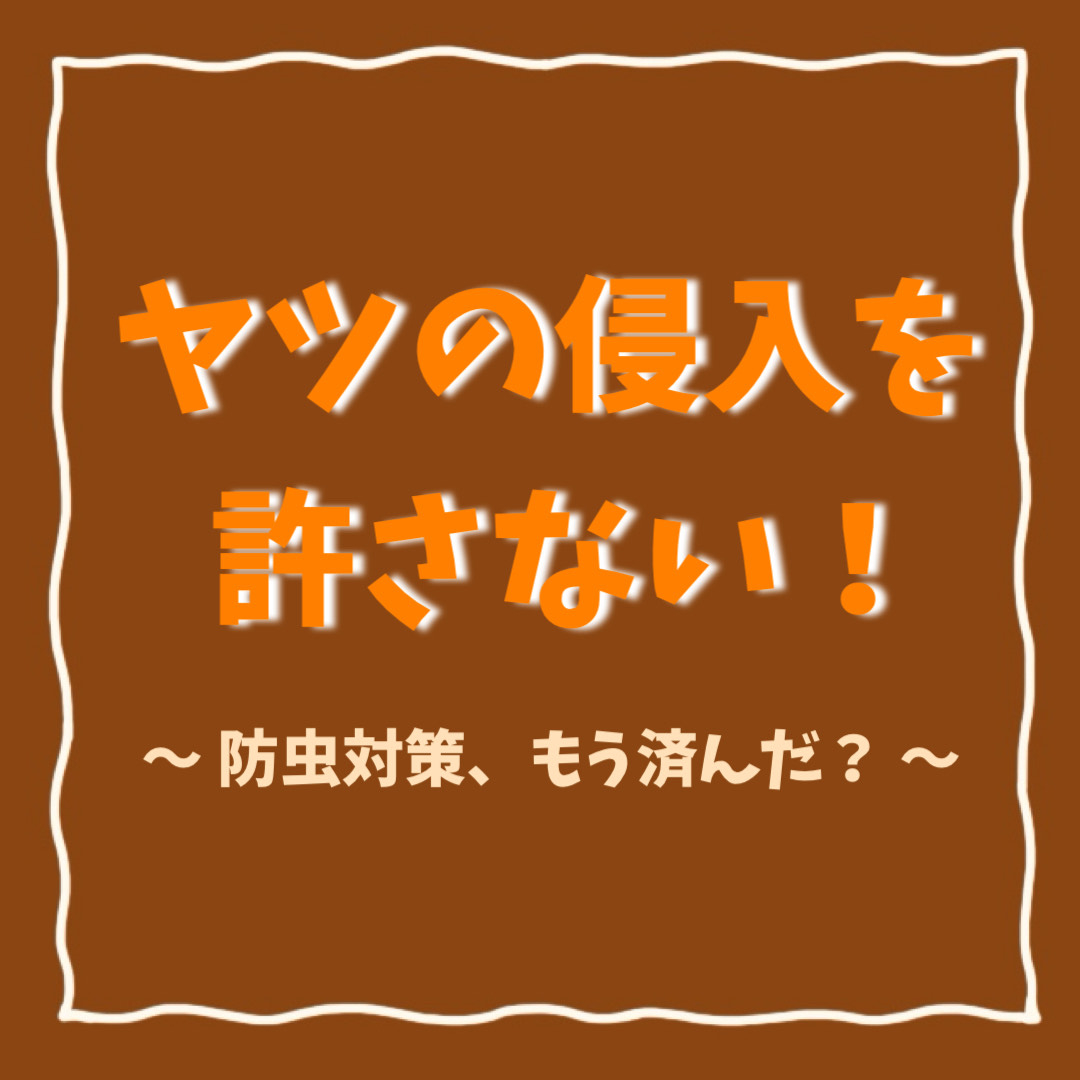 【ららぽーと立川立飛店】ヤツの侵入を許さない!!